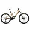 Orbea WILD H10 750WH 2023