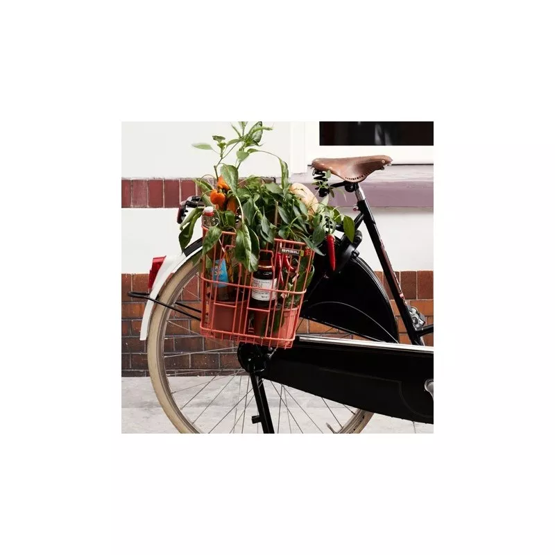 Memories Bottle - BASIL - Panier Arrière Amovible 2 Memories Bottle - BASIL - Panier Arrière Amovible – Image 2