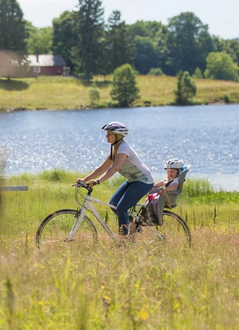 Siège Porte-bébé Vélo Arrière - Hamax 1 Siège Porte-bébé Vélo Arrière - Hamax