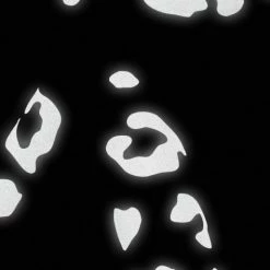 Stickers Réfléchissants Léopard - Bookman -Vélos électriques Soldes stickers reflechissants leopard bookman 3