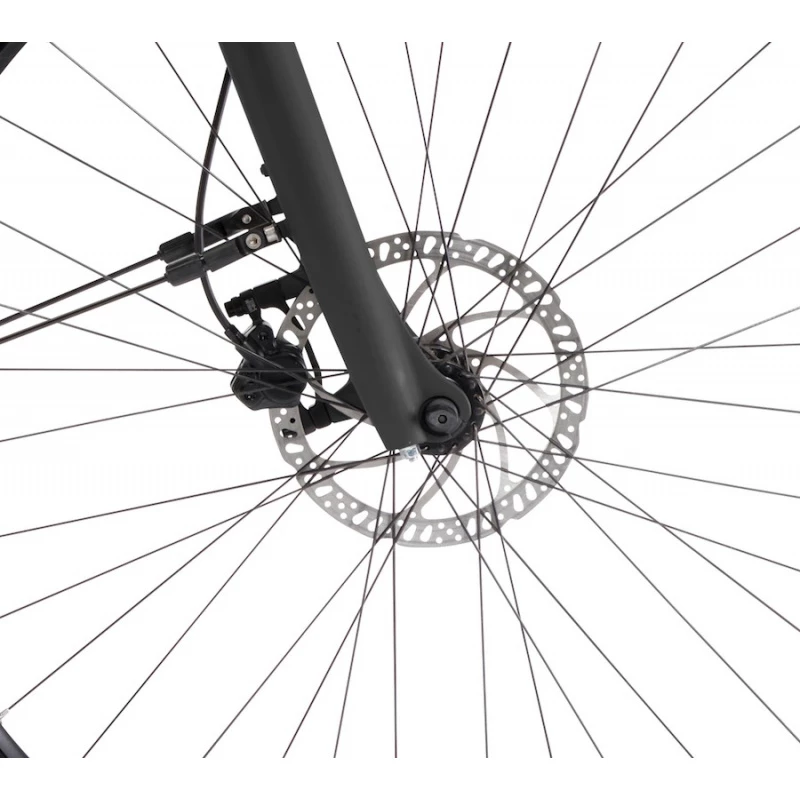 Winora TRIA 10 MONO 2022 2 Winora TRIA 10 MONO 2022 – Image 2